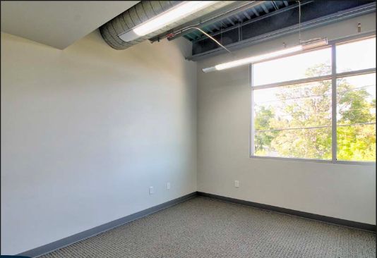 Suite 204